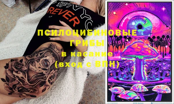 прущие грибы Михайлов
