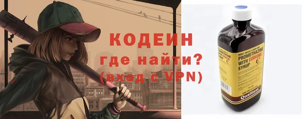 прущие грибы Михайлов