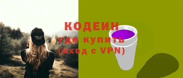 прущие грибы Михайлов