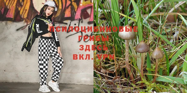 стаф Михайловка