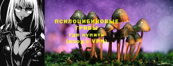 стаф Михайловка