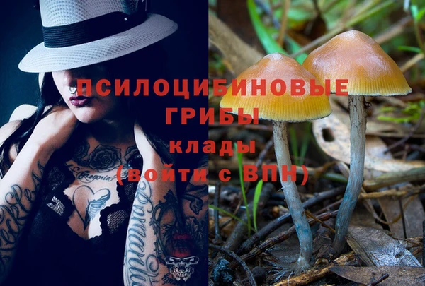 стаф Михайловка