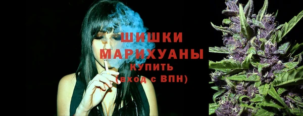 2c-b Надым