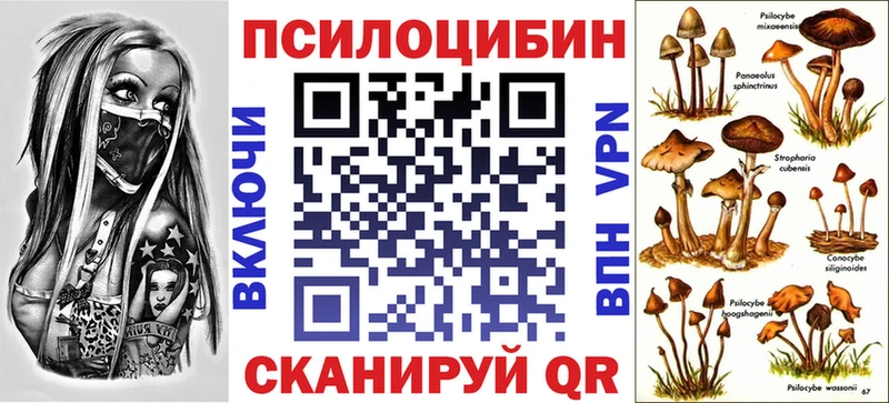 купить наркоту  Новоаннинский  Псилоцибиновые грибы прущие грибы 